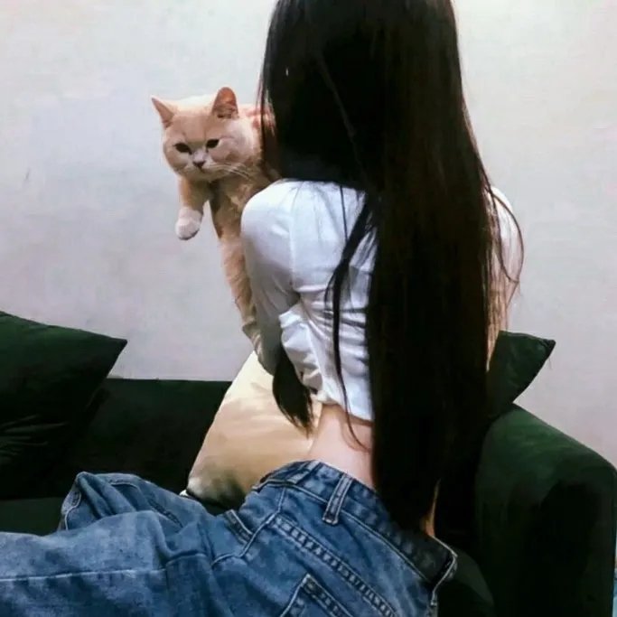 我最好朋友的婚礼在线观看